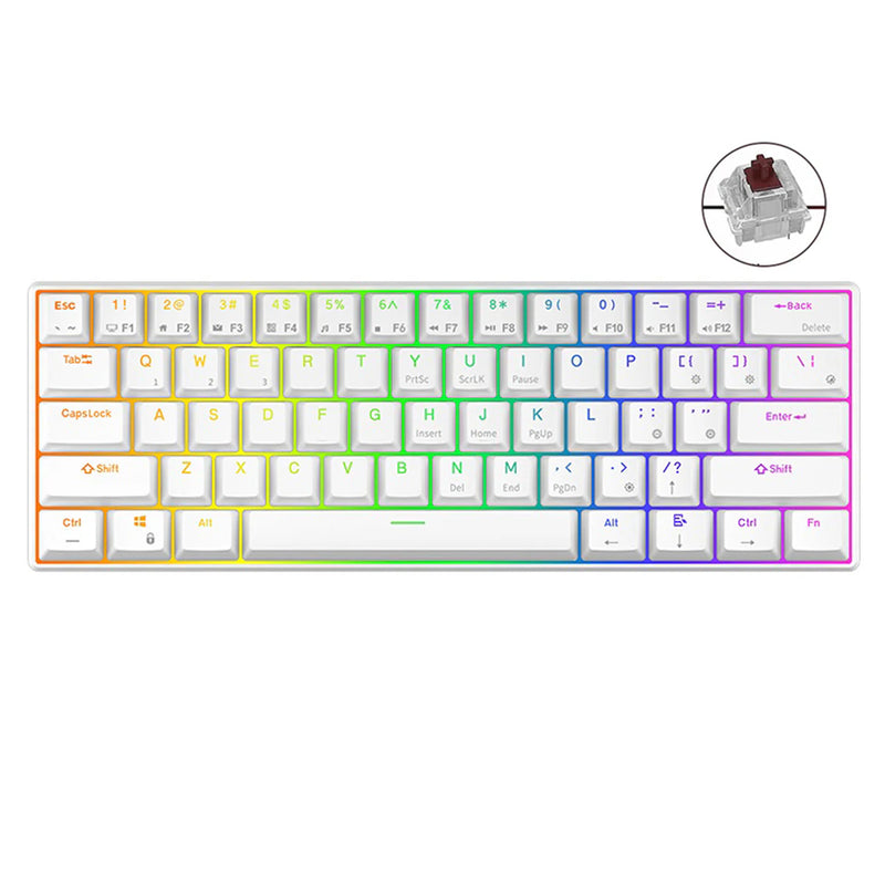 ROYAL KLUDGE RK61 TRI-MODE RGB 61 KEYS HOT SWAPPABLE MECHANICAL KEYBOARD WHITE (BROWN SWITCH) - DataBlitz