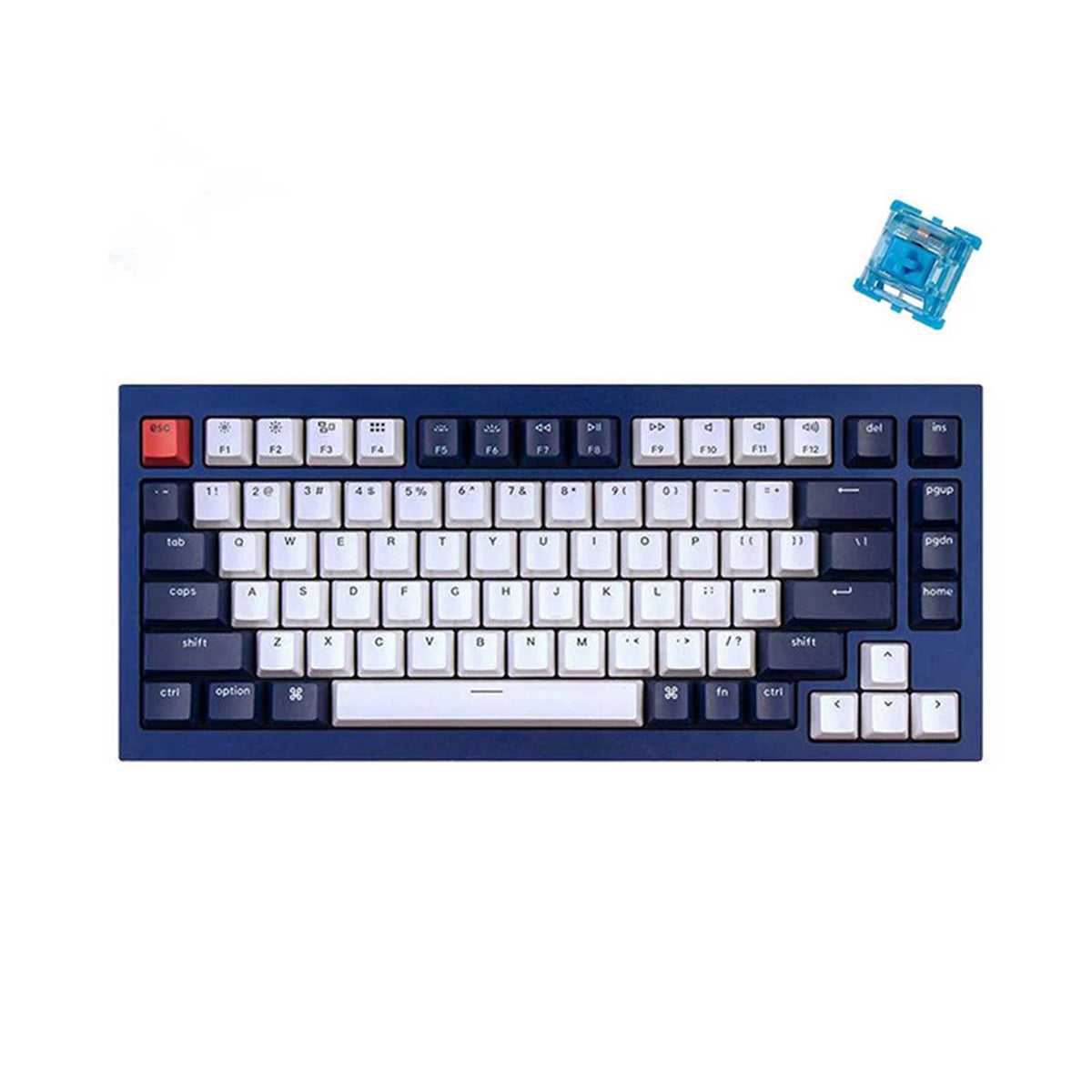 Keychron Q1 QMK Custom Mechanical Fully Assembled Navy Blue Keyboard (Gateron Phantom Blue Switch) (Q1J2)