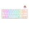 Royal Kludge RK61 Pro Tri-Mode RGB 61 Keys Hot Swappable Mechanical Keyboard Silver/White (Gateron Red Switch) - DataBlitz