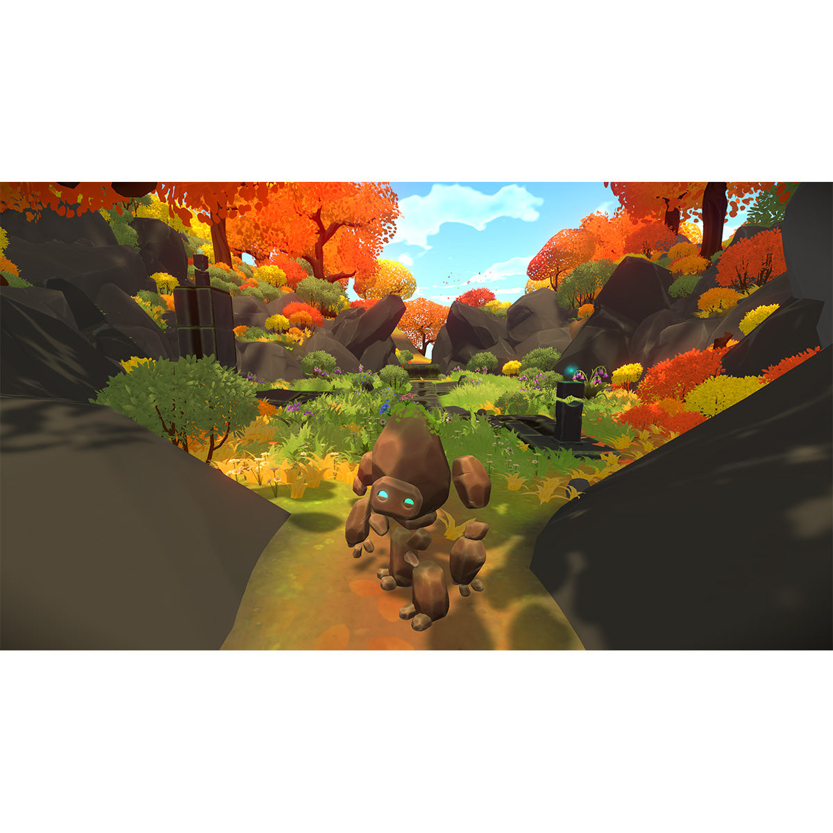 Unpetrified: Echoes of Nature