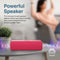 Promate Capsule-2 Crystal Sound HD Wireless Speaker (Red)