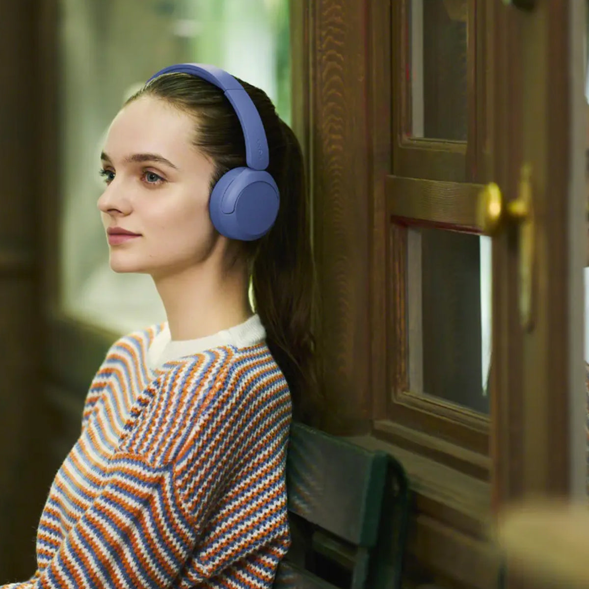 Sony WH-CH530 Wireless Headphones