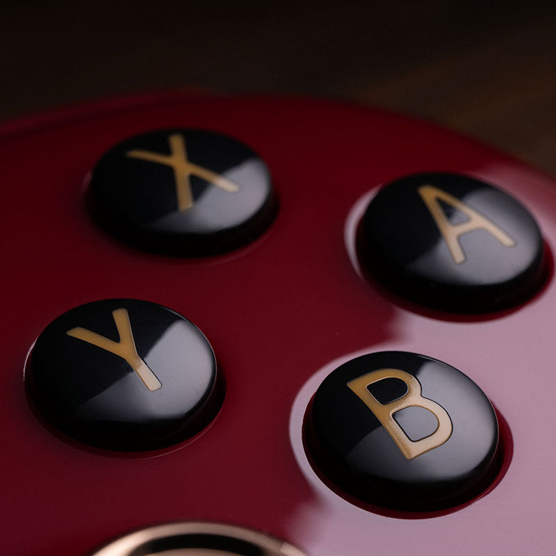 8bitdo Ultimate Controller F40 Limited Ed. for Switch/ Windows with Protective Case (80NA)