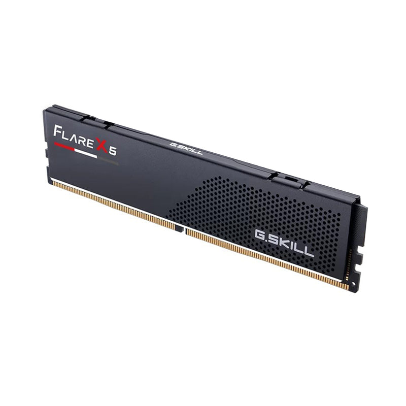 G.Skill Flare X5 16GB (16GBx1) DDR5 6000 MT/s CL36-36-36-96 1.35V Intel XMP / AMD EXPO