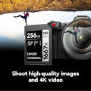 Lexar Professional 1667x 256GB SDXC UHS-II C10 U3 V60 250MB/s Read 120MB/s Write SD Card SILVER Series (LSD256CB1667)