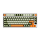 Royal Kludge RK-M75 Tri-Mode RGB 81 Keys Hot-Swappable