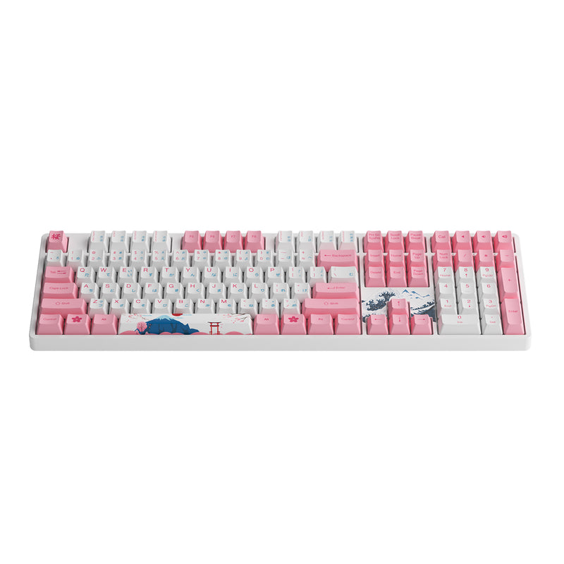 Akko World Tour Tokyo R2 5108S OEM SP RGB Hot-Swappable Mechanical Keyboard (Gateron Orange-Lubed)