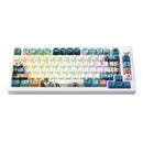 Akko MOD 007B HE PC Tri-Mode RGB Mechanical Keyboard (Joy of Life) (Akko Cream Yellow Magnetic Switch)