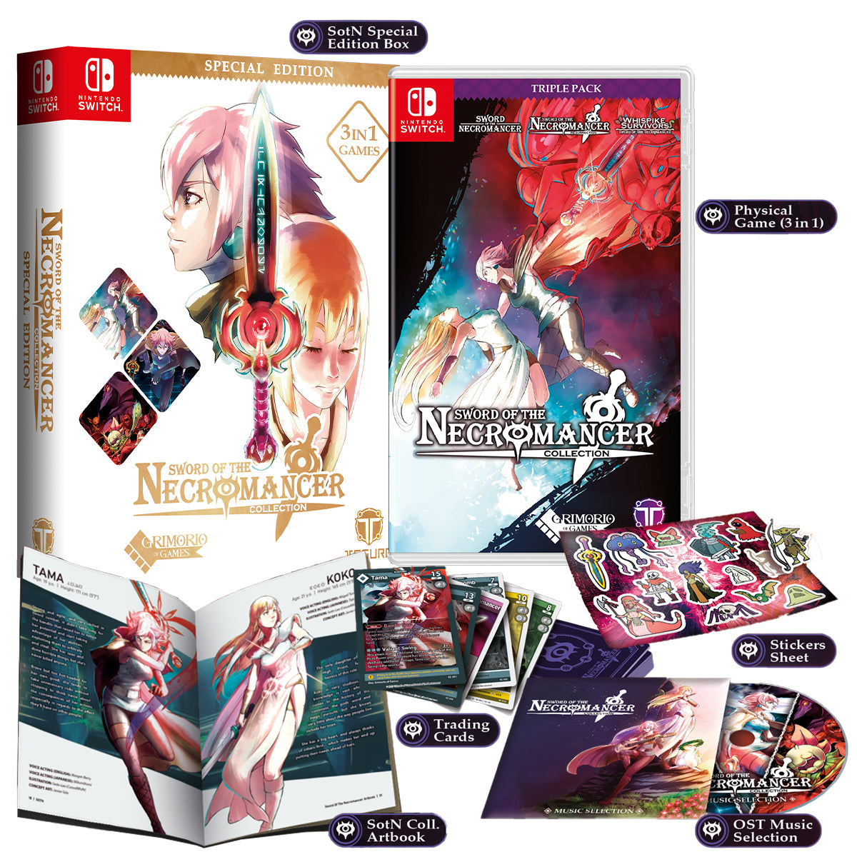 Nintendo Switch Sword of the Necromancer Collection Special Edition
