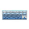 Ajazz AK870 RGB Tri-Mode 87-Keys TKL Gasket-mounted Hot Swappable Mechanical Keyboard (Gradient Blue) (Flying Fish Switch)