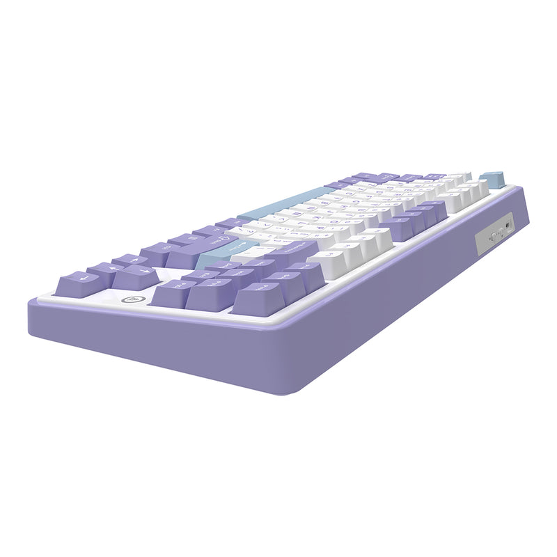 Ajazz AK870 RGB Tri-Mode 87-Keys TKL Gasket-mounted Hot Swappable Mechanical Keyboard (Purple/White/Blue) (Flying Fish Switch)