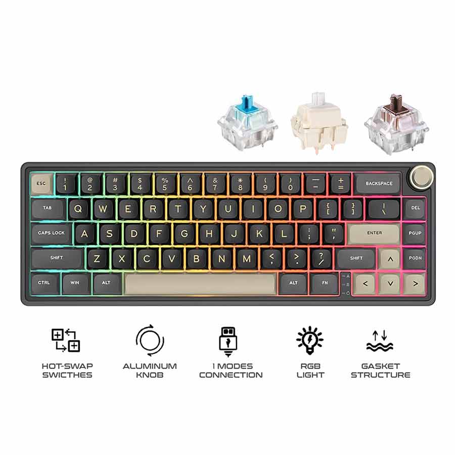 Home All products Royal Kludge R65 Single-Mode RGB 66-K...