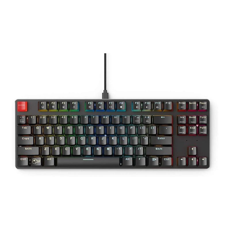 Glorious PC Gaming Race Modular Mechanical Keyboard GMMK Tenkeyless (Brown Switches) (Black)