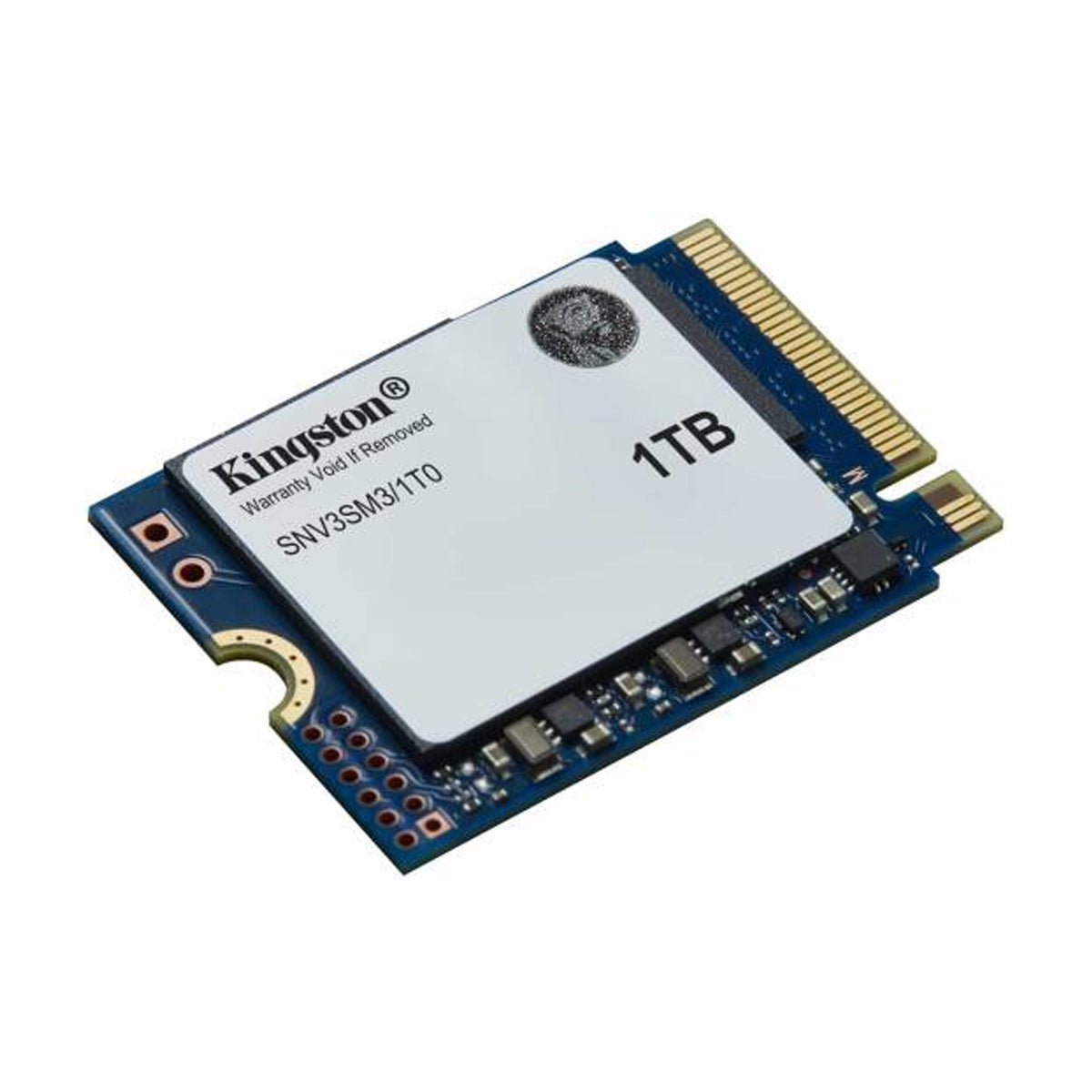 MasonSemi MC3000 1TB NVMe SSD M.2 2280 【公式】【公式直営】【総