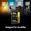 Lexar Professional 2000x 256GB SDXC UHS-II C10 U3 V90 300MB/s Read 260MB/s Write SD Card GOLD Series (LSD2000256G-BNNNG)