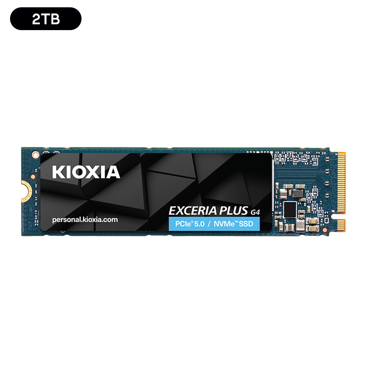 Kioxia Exceria Plus G4 PCIe Gen5 x4 M.2 2280 NVME SSD