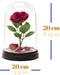 Paladone Beauty and The Beast Enchanted Rose Light (PP4344DPV3)