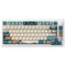 Akko MOD 007B HE PC Tri-Mode RGB Mechanical Keyboard (Joy of Life) (Akko Cream Yellow Magnetic Switch)