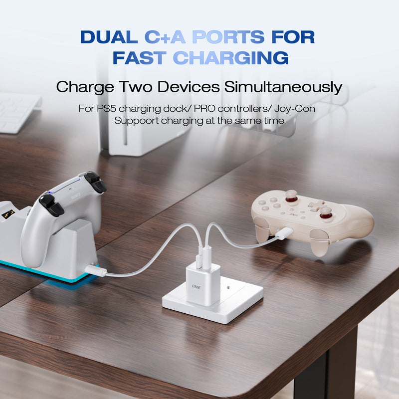 IINE 20W GaN Fast Charger (White) (L1125)
