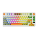 Royal Kludge RK-M75 Tri-Mode RGB 81 Keys Hot-Swappable