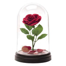 Paladone Beauty and The Beast Enchanted Rose Light (PP4344DPV3)