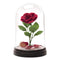 Paladone Beauty and The Beast Enchanted Rose Light (PP4344DPV3)