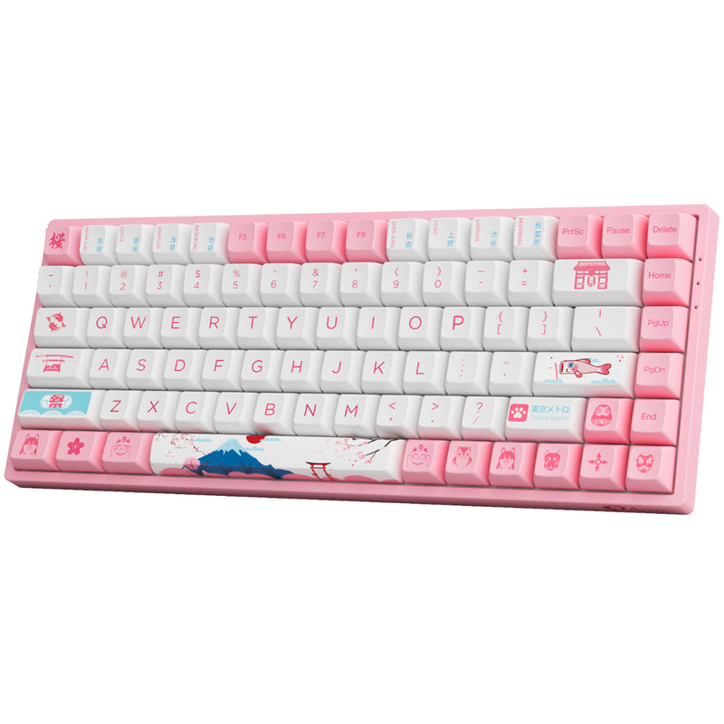 AKKO World Tour Tokyo R2 3084B Plus Hot-Swappable Multi-Mode RGB Mechanical Keyboard (AKKO CS Jelly Pink)