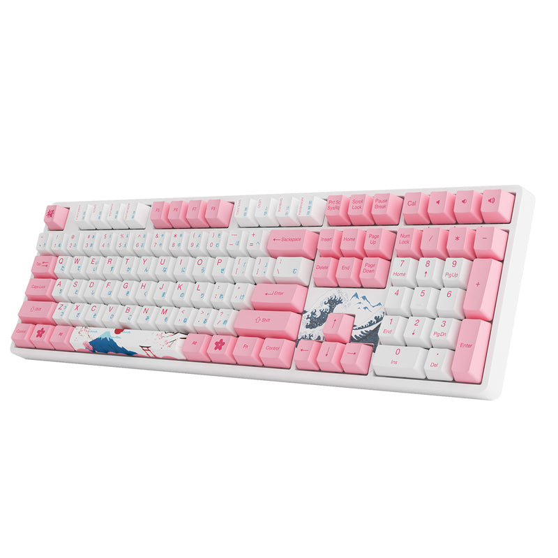 Akko World Tour Tokyo R2 5108S OEM SP RGB Hot-Swappable Mechanical Keyboard (Gateron Orange-Lubed)