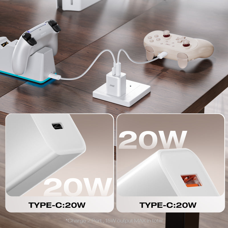 IINE 20W GaN Fast Charger (White) (L1125)
