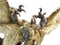 Capcom Figure Builder Creator's Model: Shagaru Magala (Re-Production) Pre-Order Downpayment