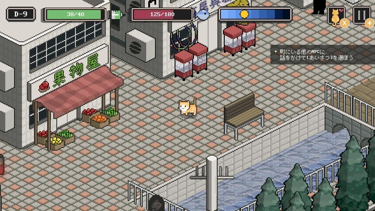 Nintendo Switch A Street Cats Tale Neko Neko Edition (Asian)