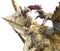 Capcom Figure Builder Creator's Model: Shagaru Magala (Re-Production) Pre-Order Downpayment