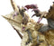 Capcom Figure Builder Monster Hunter Creator's Model: Shagaru Magala