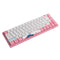 AKKO WORLD TOUR TOKYO R2 3068B MECHANICAL KEYBOARD (AKKO SWITCH JELLY PINK)