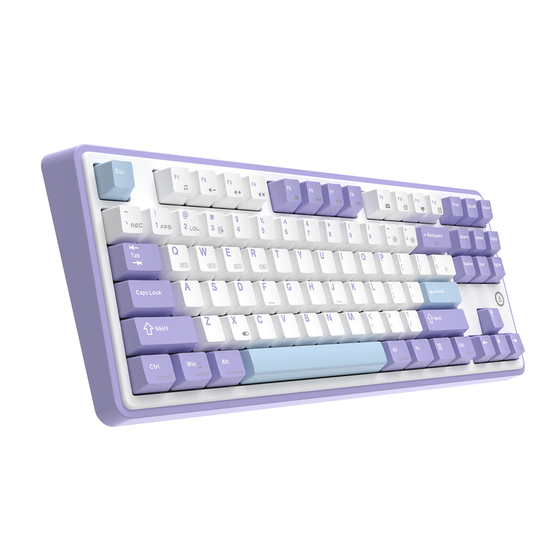 Ajazz AK870 RGB Wired 87-Keys TKL Gasket-mounted Hot Swappable Mechanical Keyboard (Purple/White/Blue) (Magnetic Switch)