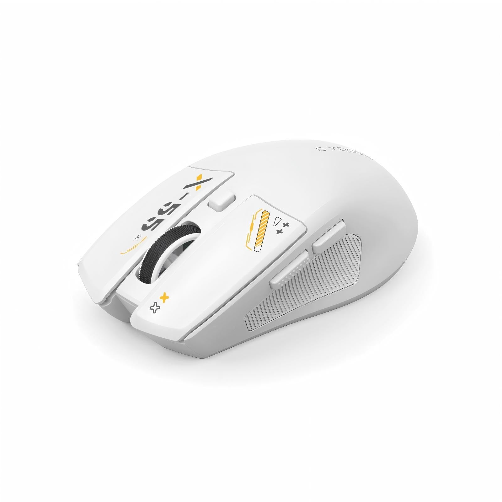 E-Yooso X-55 Ergonomic Wireless Mouse