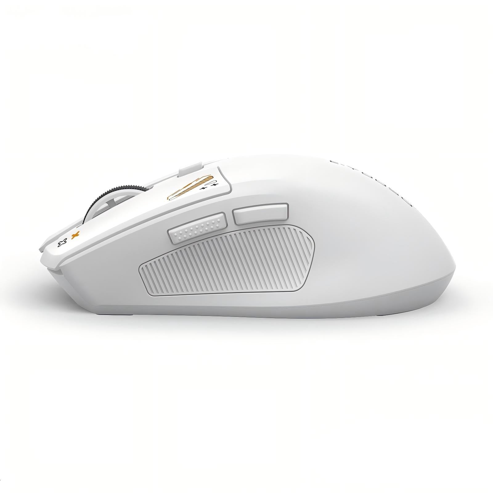 E-Yooso X-55 Ergonomic Wireless Mouse