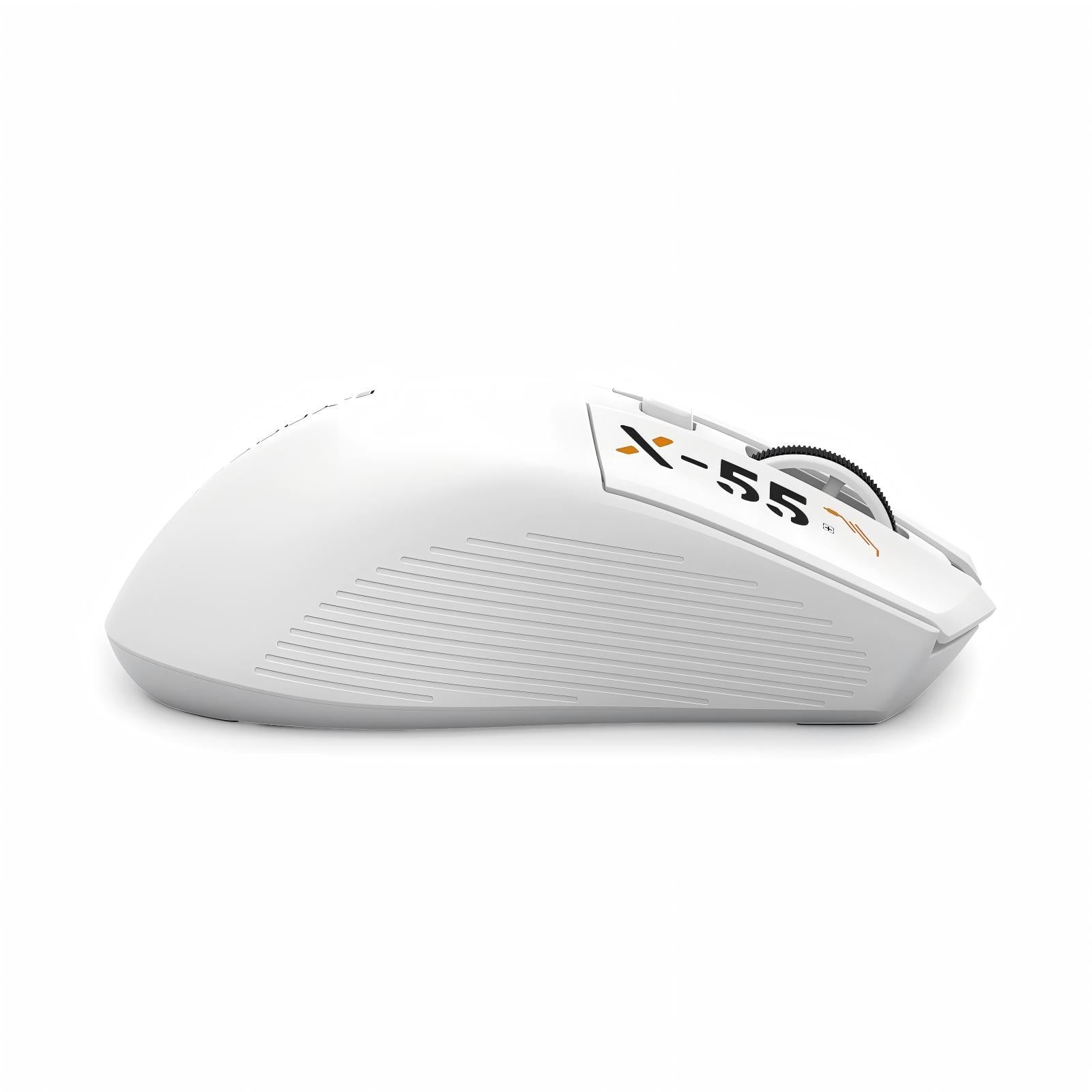 E-Yooso X-55 Ergonomic Wireless Mouse