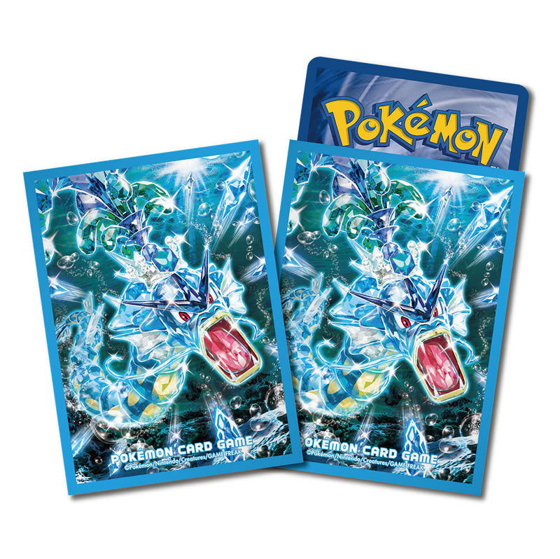 Pokemon Trading Card Game Deck Shield (9343594)