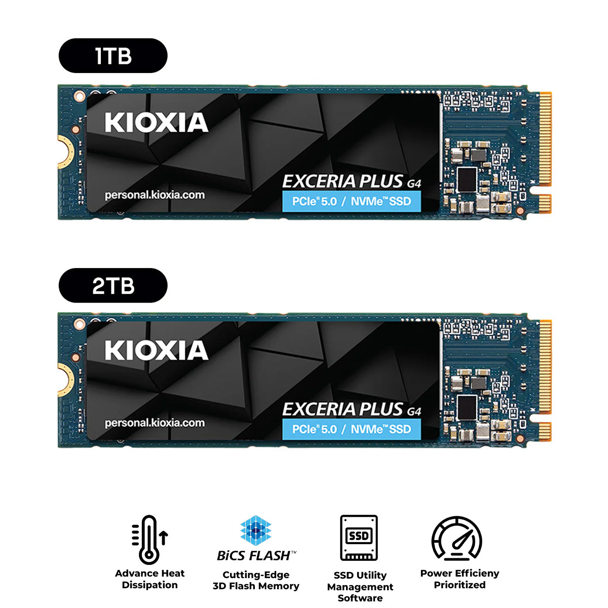Kioxia Exceria Plus G4 PCIe Gen5 x4 M.2 2280 NVME SSD