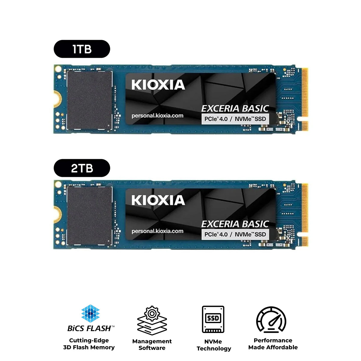 Kioxia Exceria Basic PCIe Gen4 x4 M.2 2280 NVME SSD