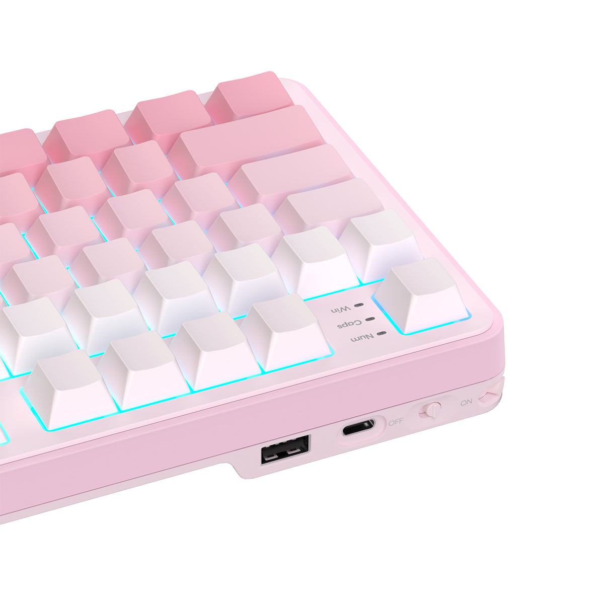 Royal Kludge RK-S98 Tri-Mode RGB 98 Keys Hot Swappable Mechanical Keyboard