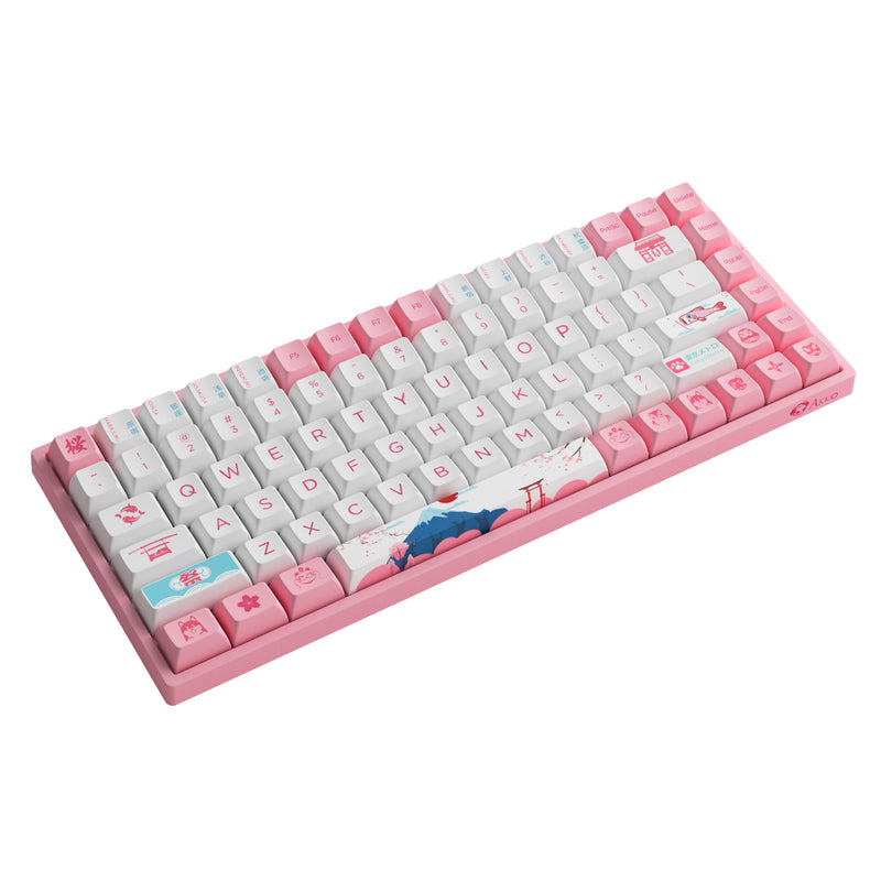 AKKO World Tour Tokyo R2 3084B Plus Hot-Swappable Multi-Mode RGB Mechanical Keyboard (AKKO CS Jelly Purple)