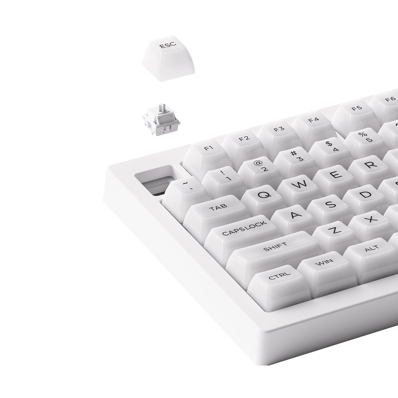 Akko 5075B Plus ASA Clear Multi-Mode RGB Hot-Swappable Mechanical Keyboard White - DataBlitz