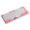 AKKO World Tour Tokyo R2 3084B Plus Hot-Swappable Multi-Mode RGB Mechanical Keyboard (AKKO CS Jelly Pink)