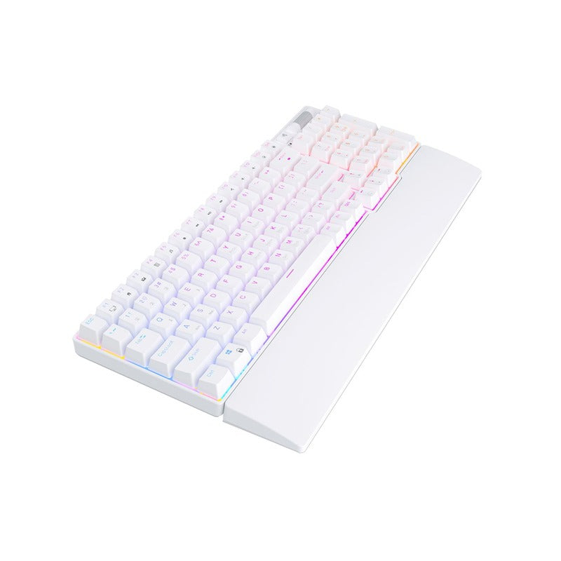 ROYAL KLUDGE RK96 Tri-Mode RGB 96 Keys Hot Swappable Mechanical Keyboard White