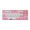 AKKO World Tour-Tokyo R1 3087 Mechanical Keyboard ( AKKO Switch 2nd Gen Pink)