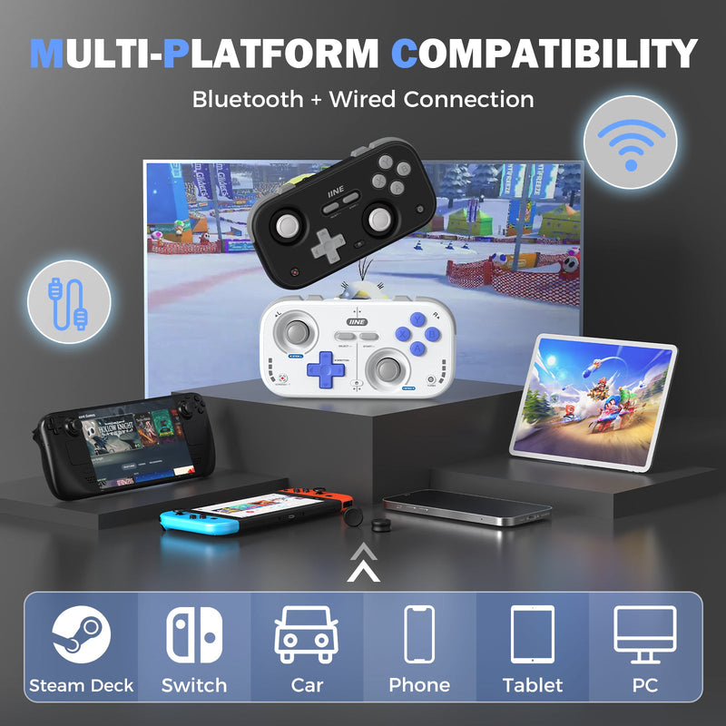 IINE Palm-Sized Retro Chronos Controller