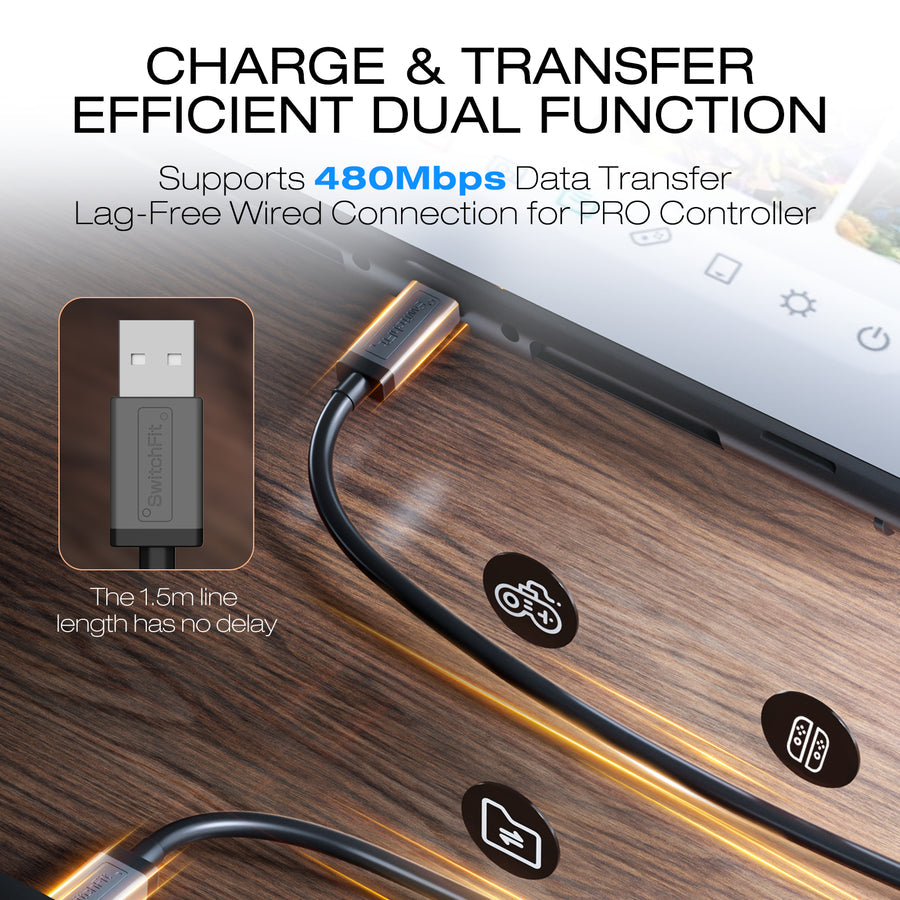 IINE Charging Cable USB to USB-C for Nintendo Switch