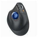 ProtoArc EM05 NL Ergonomic Vertical Wireless Trackball Mouse